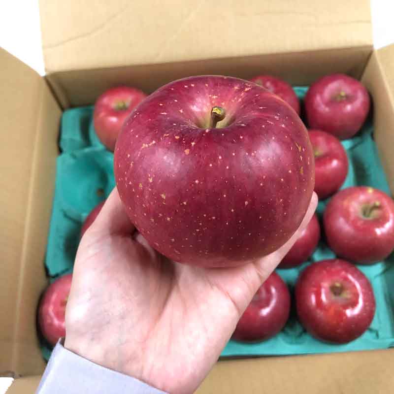 福士さんのりんご特選弘前ふじ5kg(青森県産)_s25