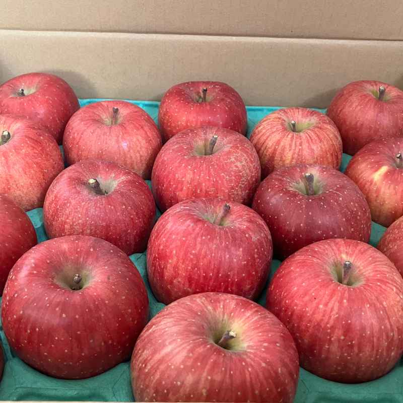 福士さんのりんご特選サンふじ10kg(送料無料)(青森県産)＜特別
