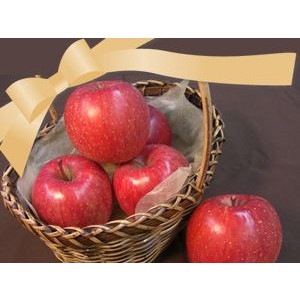 福士さんのりんご特選サンふじ5kg(青森県産)_s25