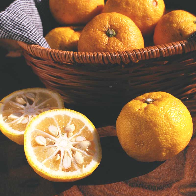 無茶々園の柚子7kg_s50