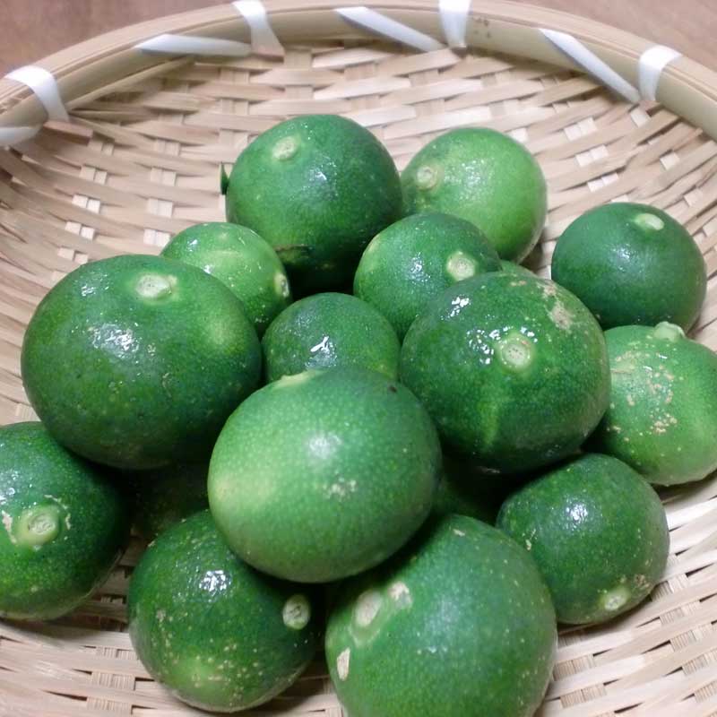 【数量限定】愛媛県無茶々園のプチグリーン1.5kg（摘果みかん・青みかん）_s50