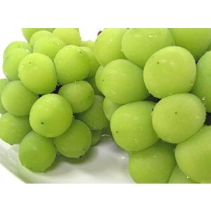 米沢郷のぶどう シャインマスカット２ｋｇ(山形産)_s70