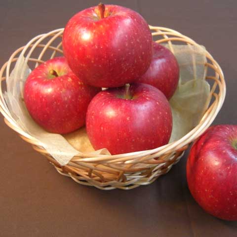 福士さんのりんご特選安祈世10kg(青森県産)_s25