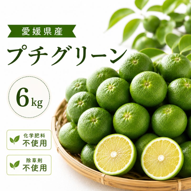 【数量限定】愛媛県無茶々園のプチグリーン6kg(摘果みかん・青みかん)_s50