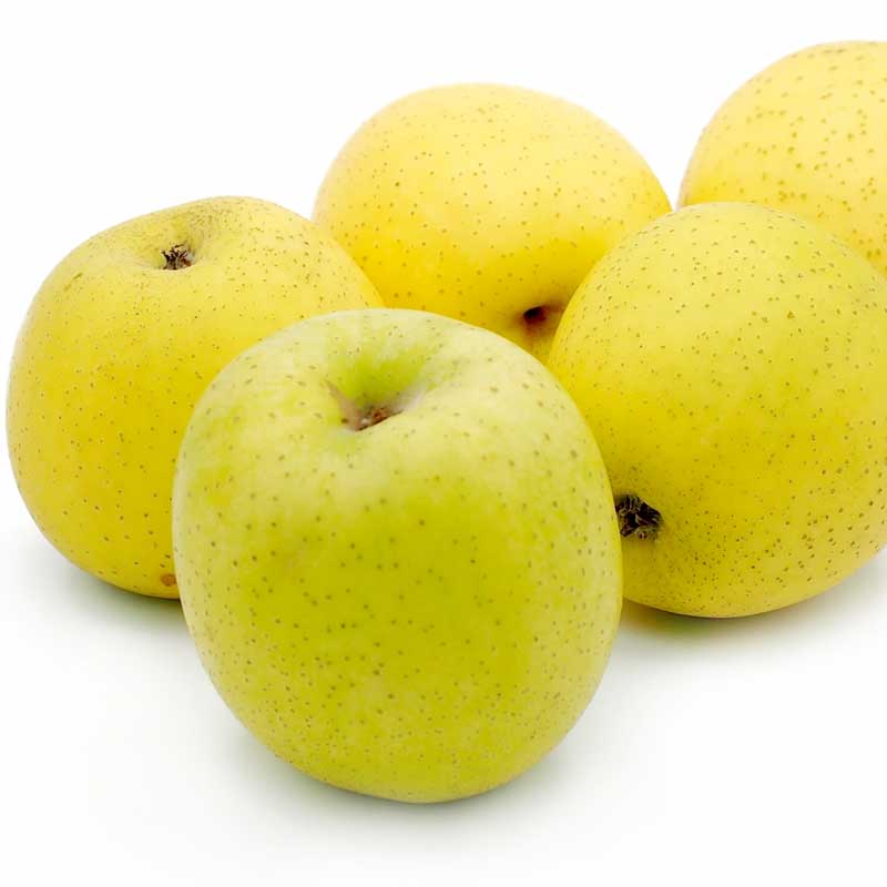 福士さんのりんご　王林10kg(山形県産)_s70