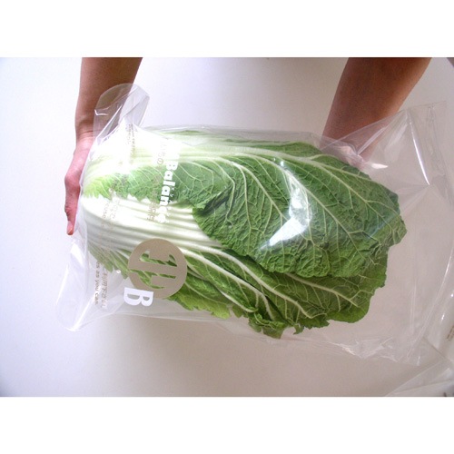 【５％ＯＦＦ】エンバランス　新鮮チャック袋(特大4枚)＜BPAフリー＞_s10