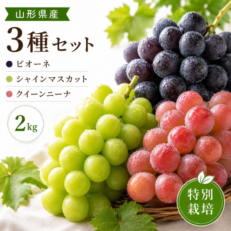 米沢郷のぶどう人気の３種セット２kg(山形産)_s70