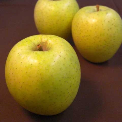 福士さんのりんご　王林5kg(山形県産)_s70