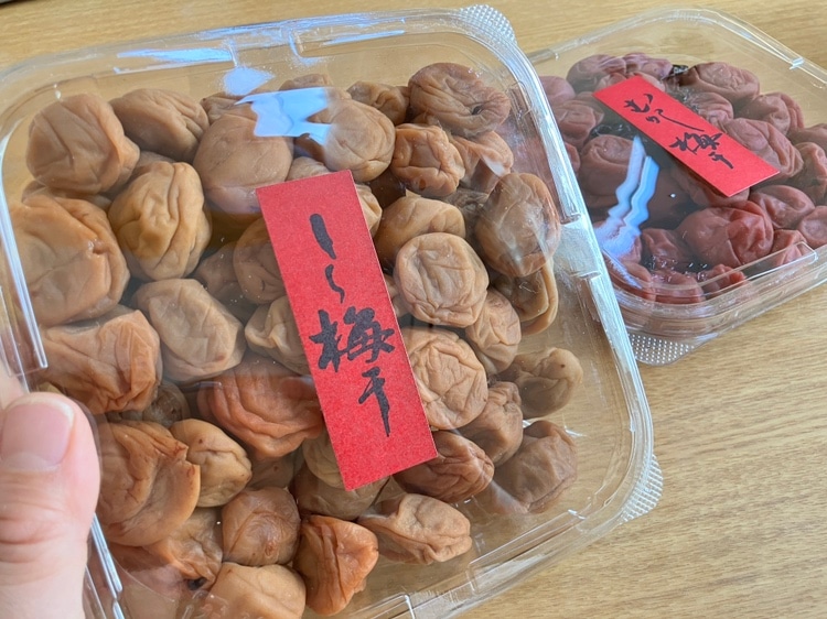 王隠堂農園のしろ梅干500g(自家用)_s40