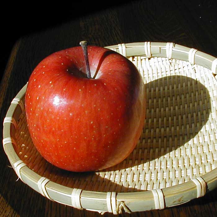 米沢郷のりんご　ふじ5kg(山形県産)_s70