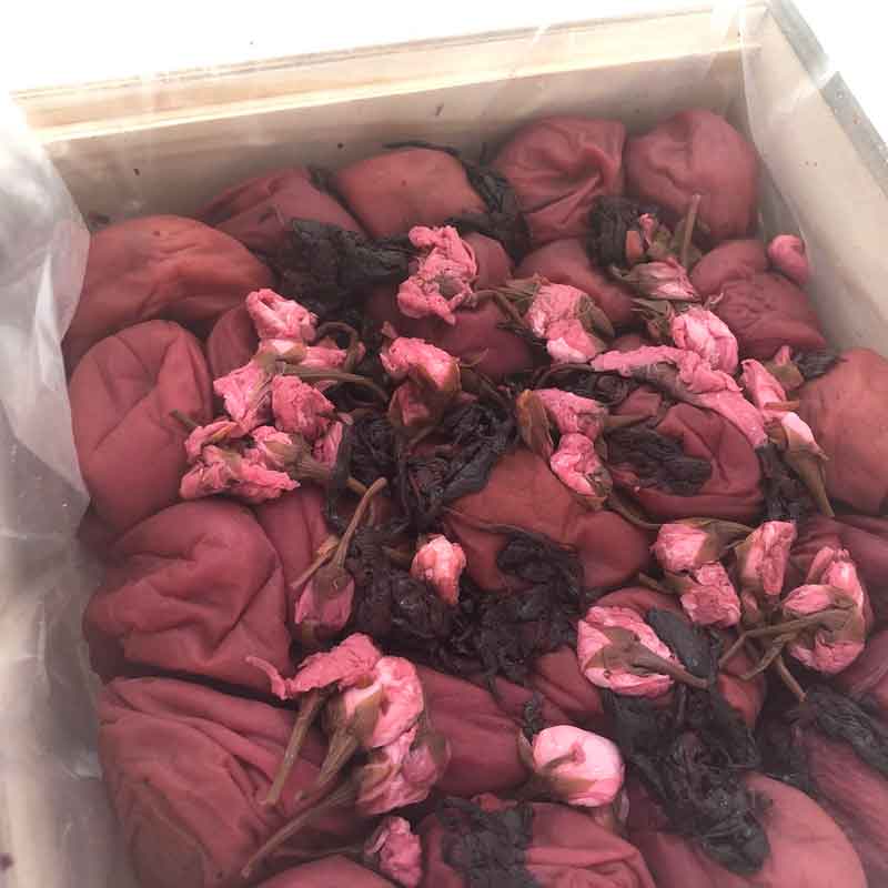 王隠堂農園の杉箱入り吉野さくら梅干500g_s40