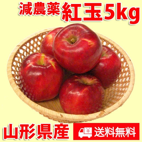 米沢郷のりんご 紅玉5kg(山形県産)_s70