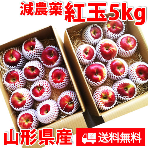 米沢郷のりんご 紅玉5kg(山形県産)_s70