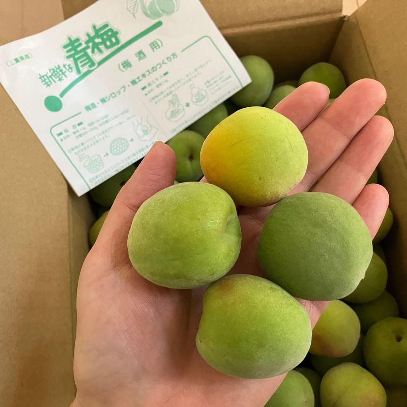 青梅 南高梅 無農薬 3Kgのお取り寄せ販売（通販）送料無料でお届け