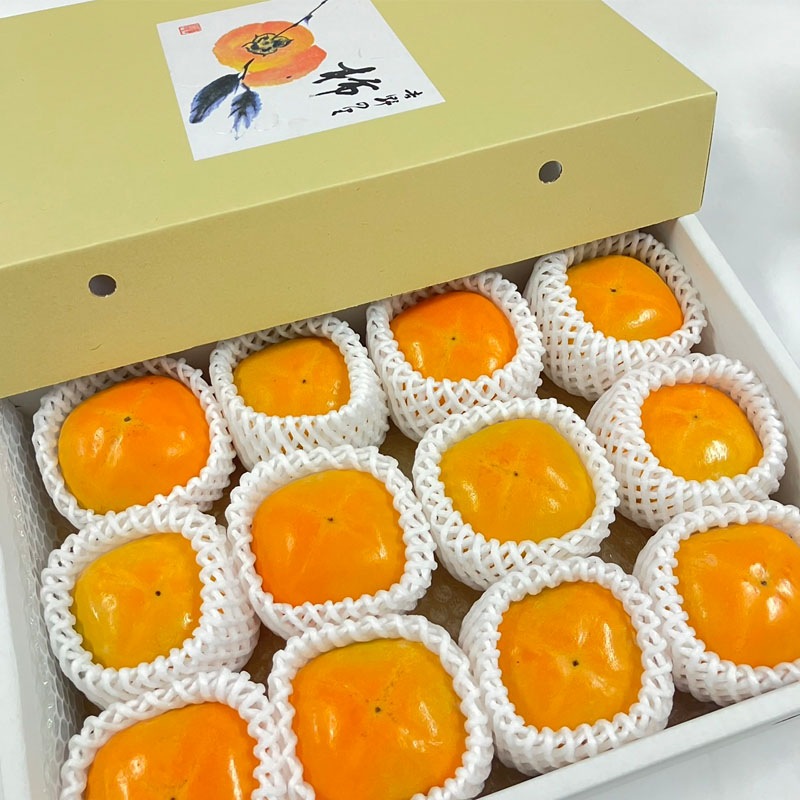 王隠堂農園のたねなし柿2L×12玉_s40