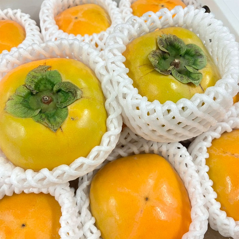 王隠堂農園のたねなし柿2L×12玉_s40