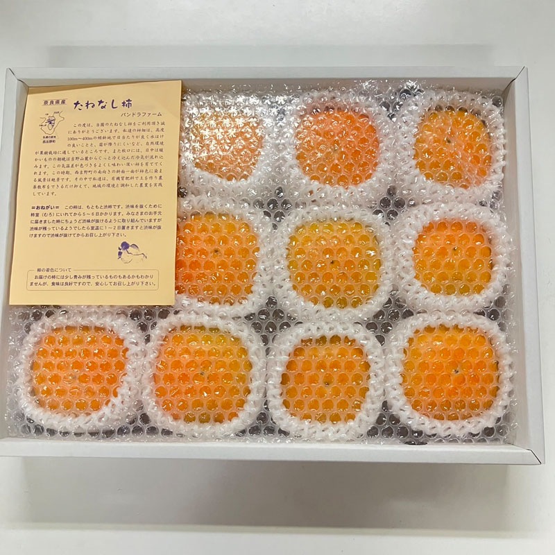 王隠堂農園のたねなし柿2L×12玉_s40