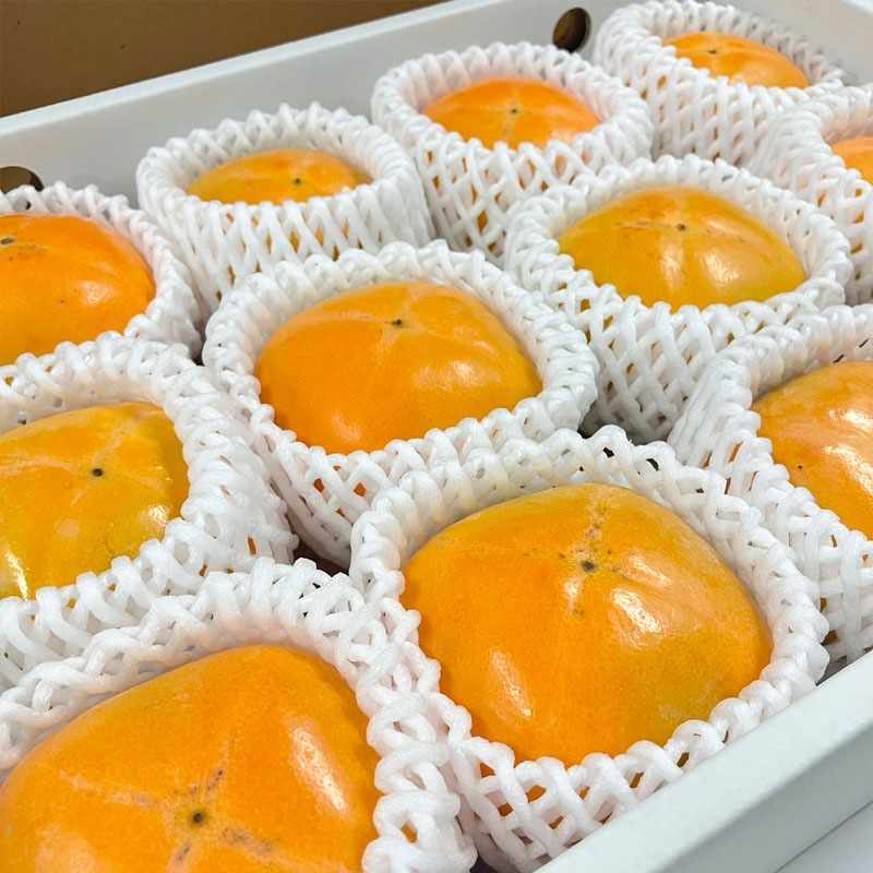 王隠堂農園のたねなし柿2L×12玉_s40