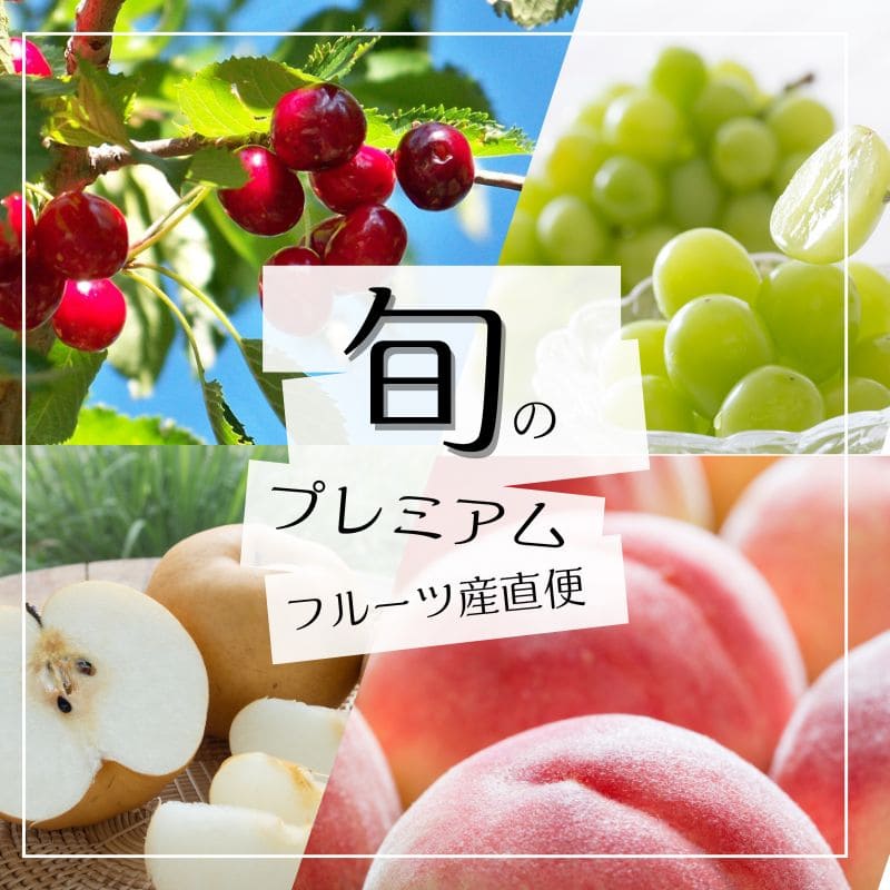 [数量限定]プレミアムフルーツ産直便【8%off】【全4回お届け】_s25