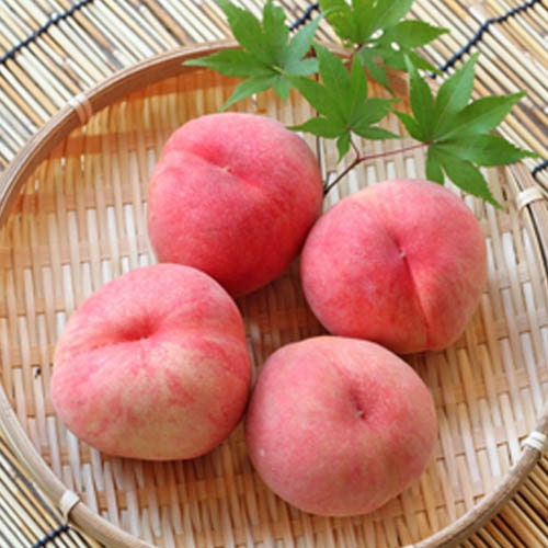 [数量限定]プレミアムフルーツ産直便【8%off】【全4回お届け】_s25