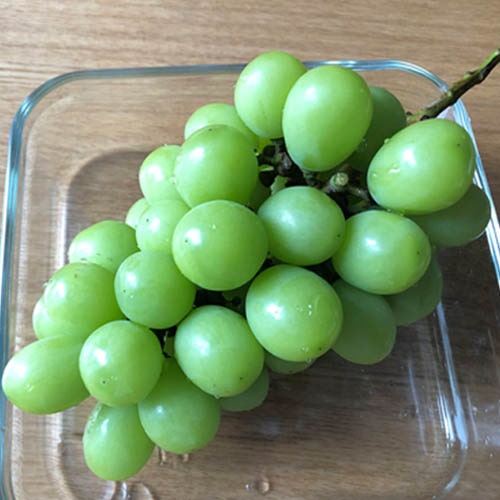 [数量限定]プレミアムフルーツ産直便【8%off】【全4回お届け】_s25