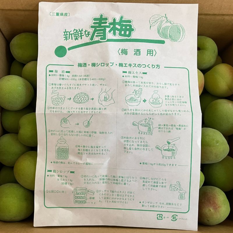 王隠堂農園の青梅３kg(梅酒・ジュース用)_s40