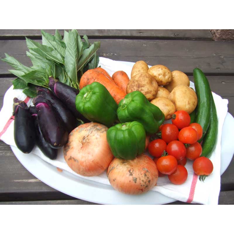 [定期購入]埼玉・沃土会の季節の野菜８品_s60