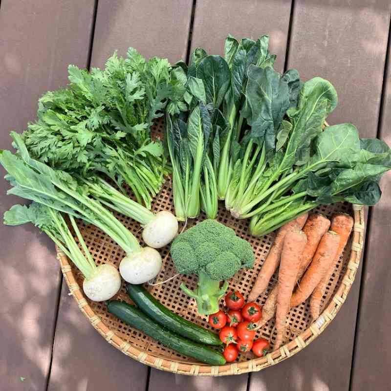 [定期購入]埼玉・沃土会の季節の野菜８品_s60