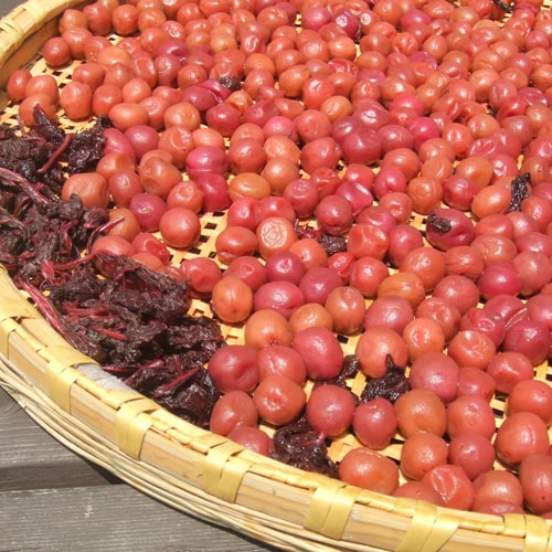 王隠堂農園の小梅3kg_s40