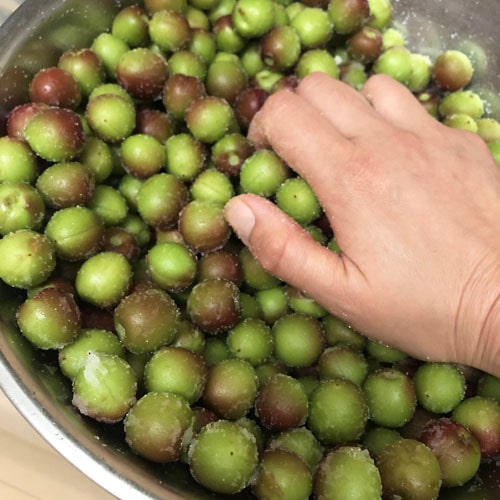 王隠堂農園の小梅3kg_s40