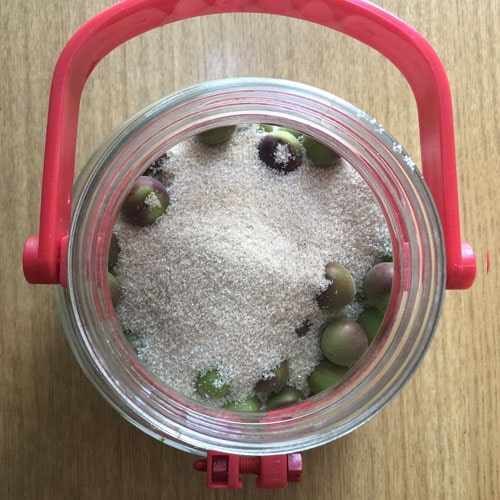 王隠堂農園の小梅3kg_s40