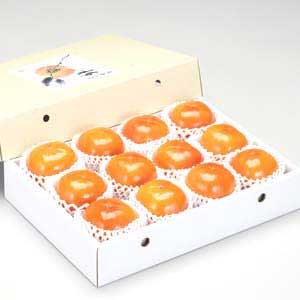 王隠堂農園の富有柿2L×12玉_s40