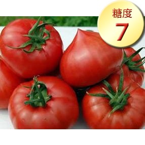 純情ハート1kg(糖度7度以上)たかしまフルーティトマト_s28