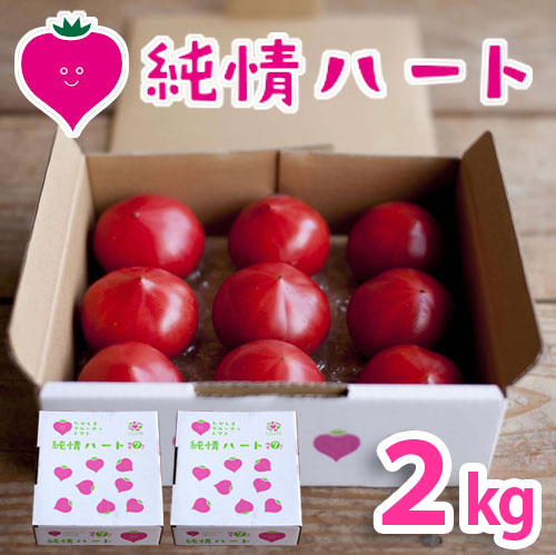 純情ハート2kg(糖度7度以上)たかしまフルーティトマト_s28
