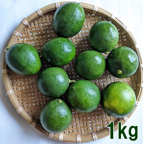 [お試し]国産レモン1kg／2kg(マイヤーレモン)(無農薬・有機栽培同等品)_s26