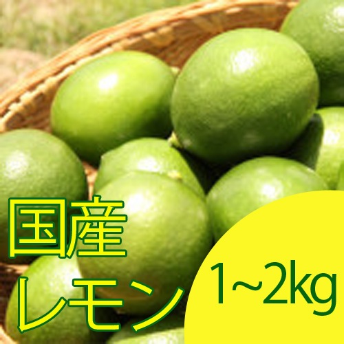 [お試し]国産レモン1kg／2kg(マイヤーレモン)(無農薬・有機栽培同等品)_s26