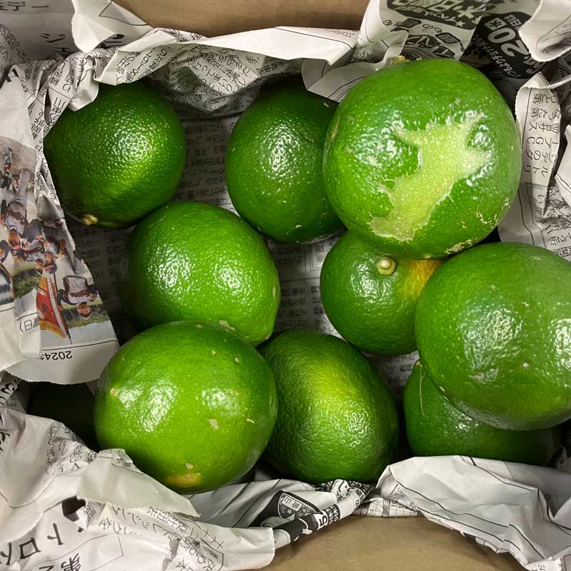 [お試し]国産レモン1kg／2kg(マイヤーレモン)(無農薬・有機栽培同等品)_s26