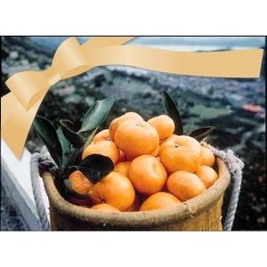 無茶々園の温州みかん3kg(S～2L)_s50