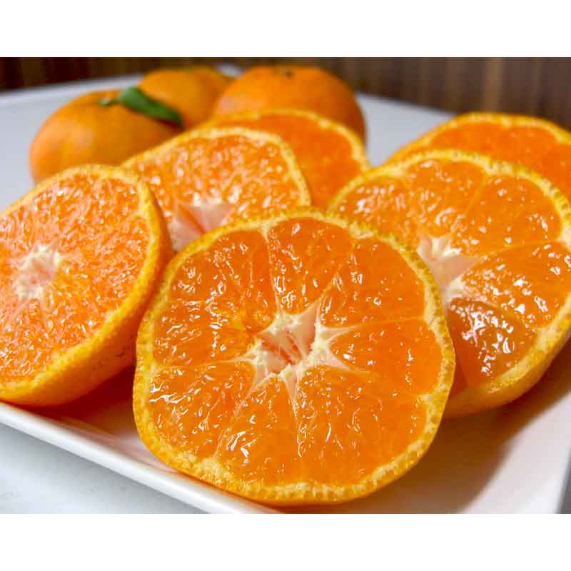 無茶々園の温州みかん3kg(S～2L)_s50