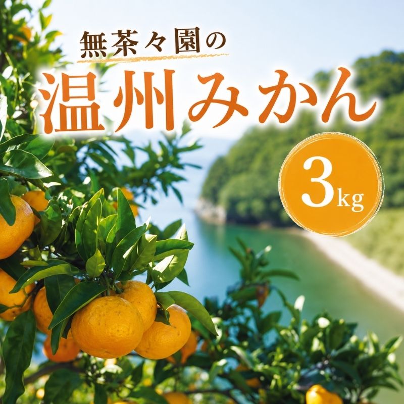 無茶々園の温州みかん3kg(S～2L)_s50