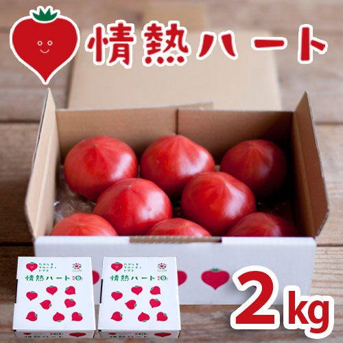 情熱ハート2kg(糖度8度以上)たかしまフルーティトマト_s28
