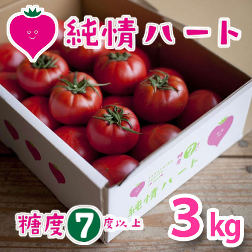 純情ハート3kg前後(糖度7度以上)たかしまフルーティトマト_s28