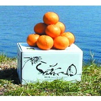 愛媛県 無茶々園のポンカン3kg_s50