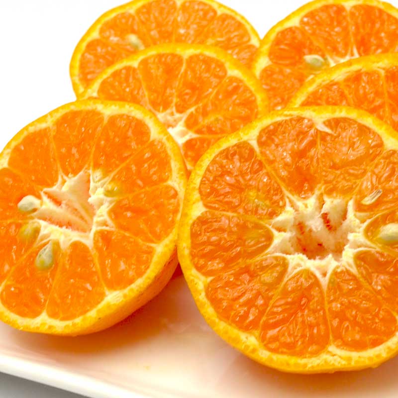 愛媛県 無茶々園のポンカン3kg_s50