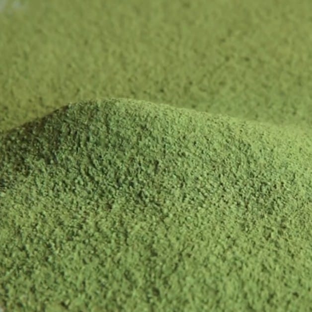 MATCHA10本入り 1箱