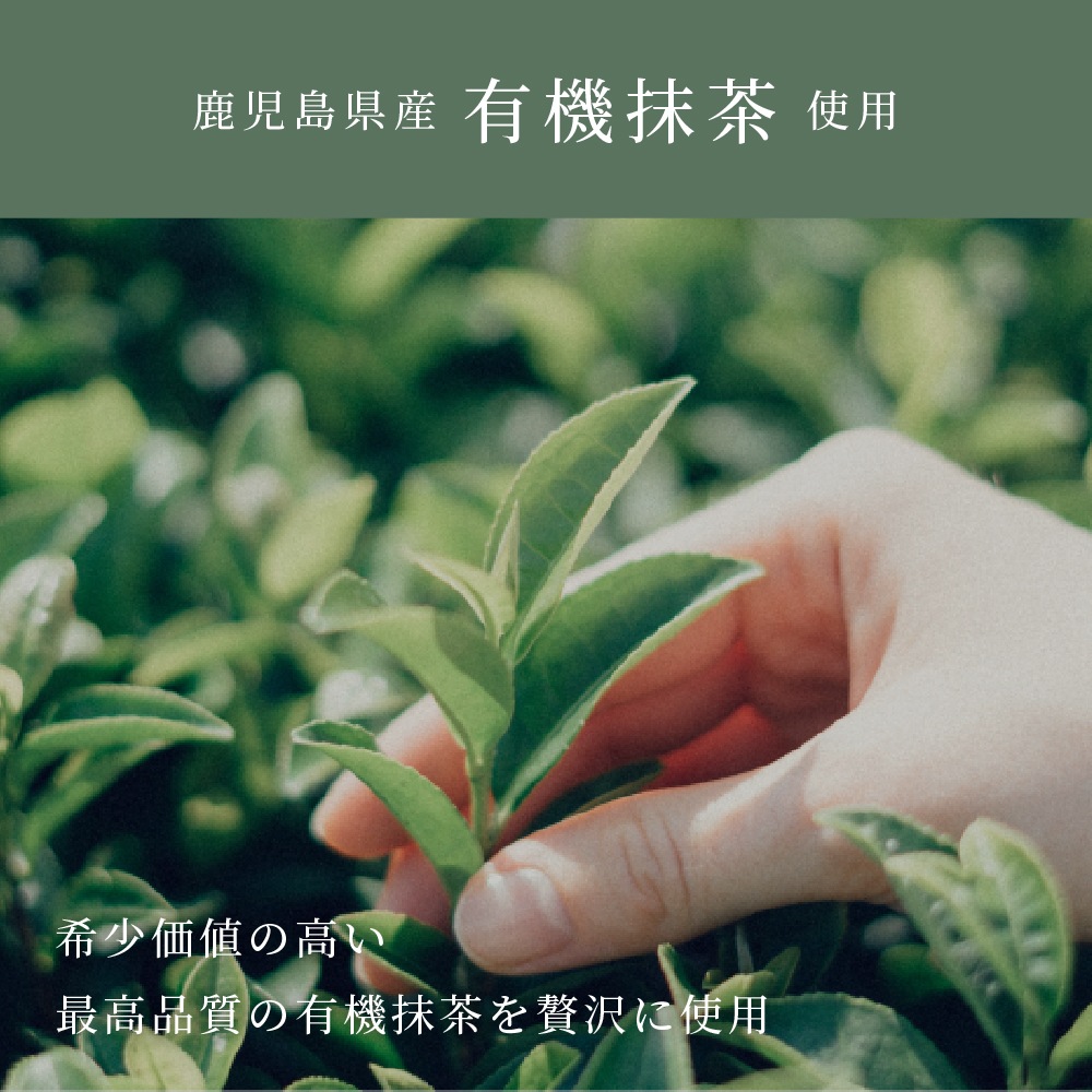 <1ヶ月1袋定期><br>MATCHAI PROTEIN