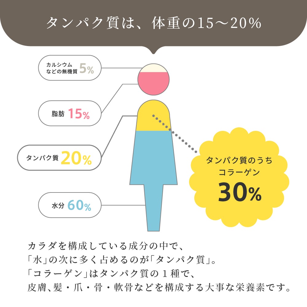 <1ヶ月2袋定期><br>HOJICHA PROTEIN