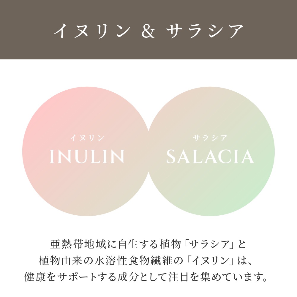 <1ヶ月3袋定期><br>HOJICHA PROTEIN