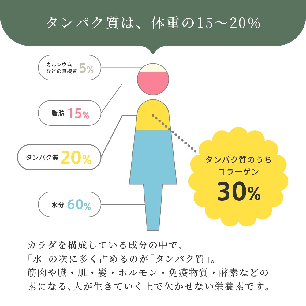 <1ヶ月2袋定期><br>MATCHAI PROTEIN