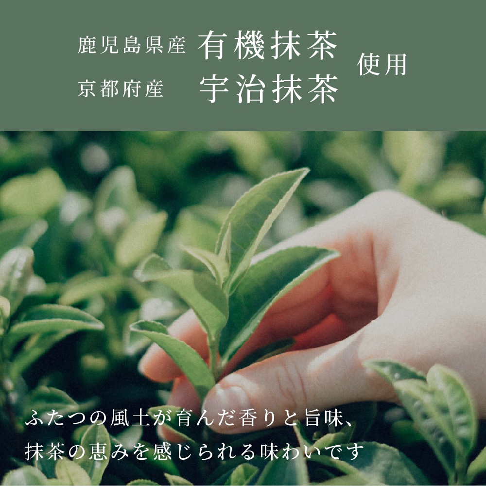 <1ヶ月3袋定期><br>MATCHAI PROTEIN